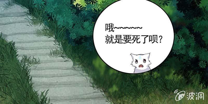 《诱爱小狐仙》草药组 死生契阔（上） 第37页