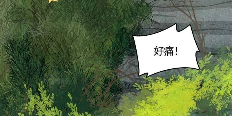 《诱爱小狐仙》草药组 死生契阔（上） 第39页