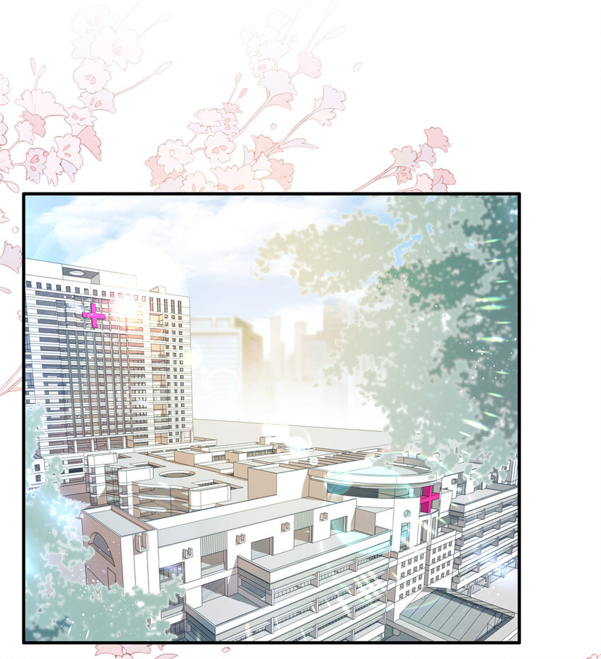 《萌妻不好欺》27 登记结婚 第2页