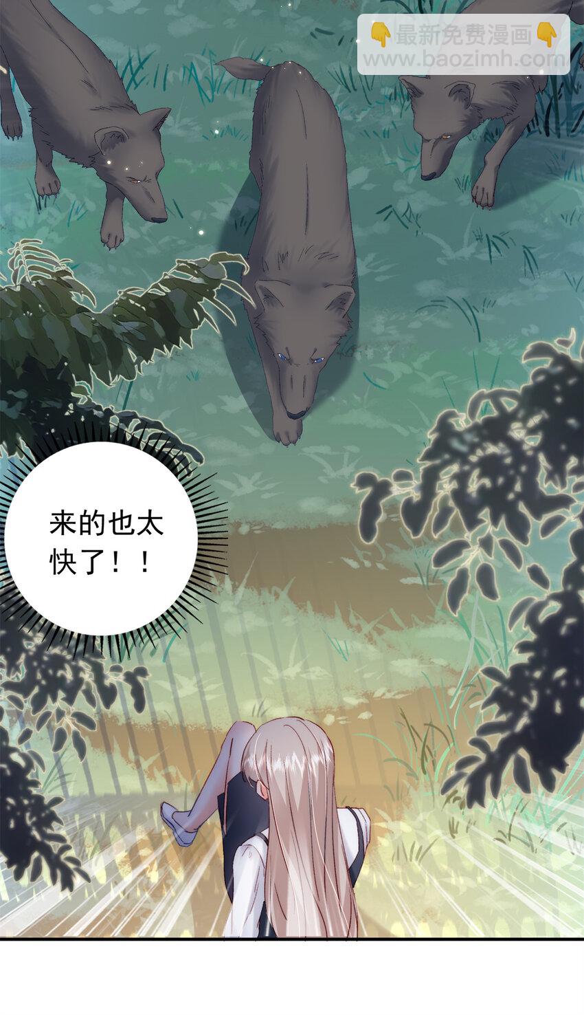 《萌妻不好欺》29 去死吧，叶流沙！ 第45页