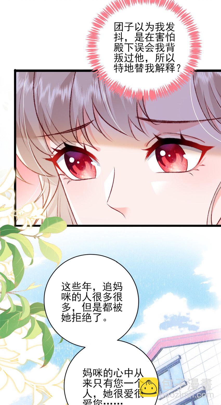 《萌妻不好欺》90 团子不是亲生的？ 第17页