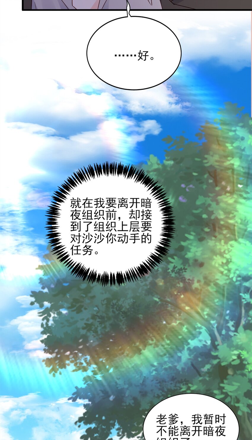 《萌妻不好欺》93 叶磊的过去 第24页