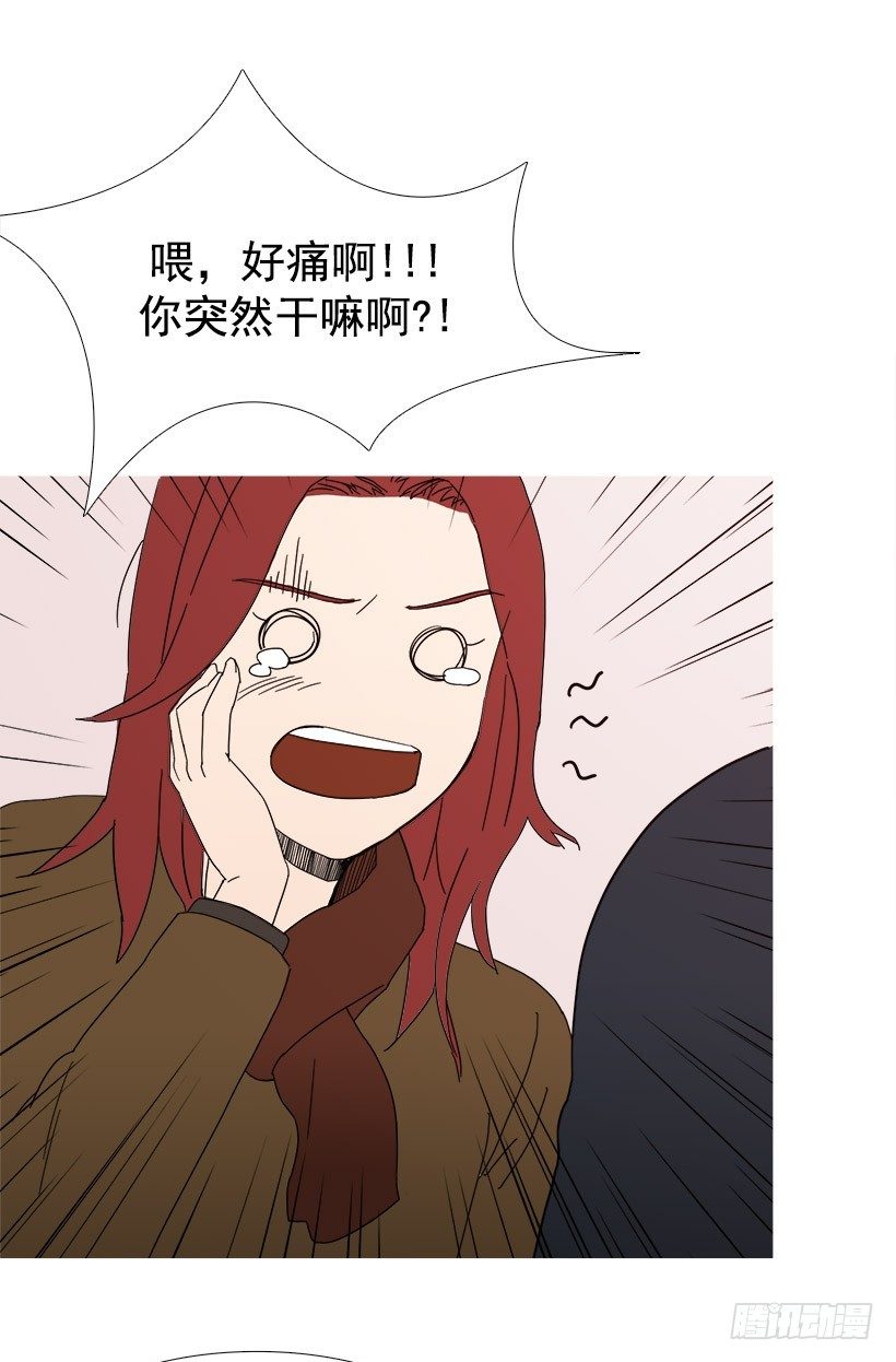 《宠物狗的规则》安慰 第11页