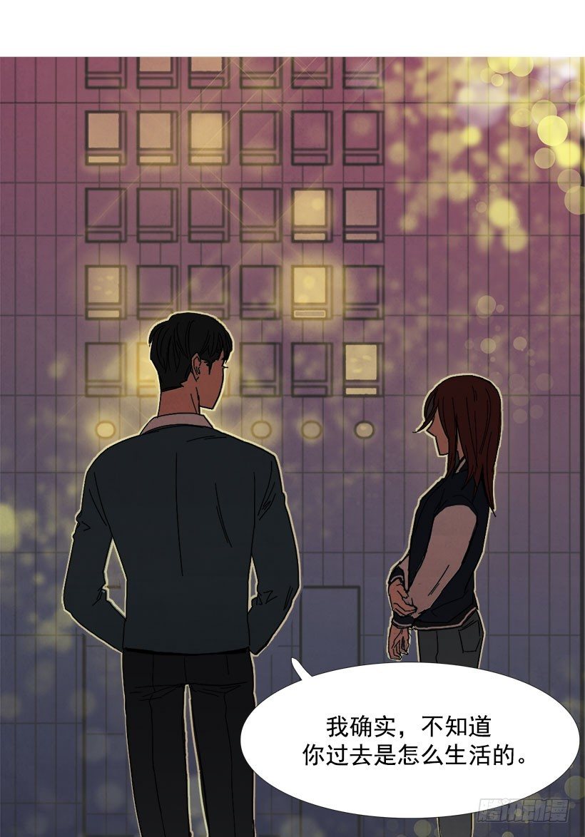 《宠物狗的规则》内心的光亮 第12页