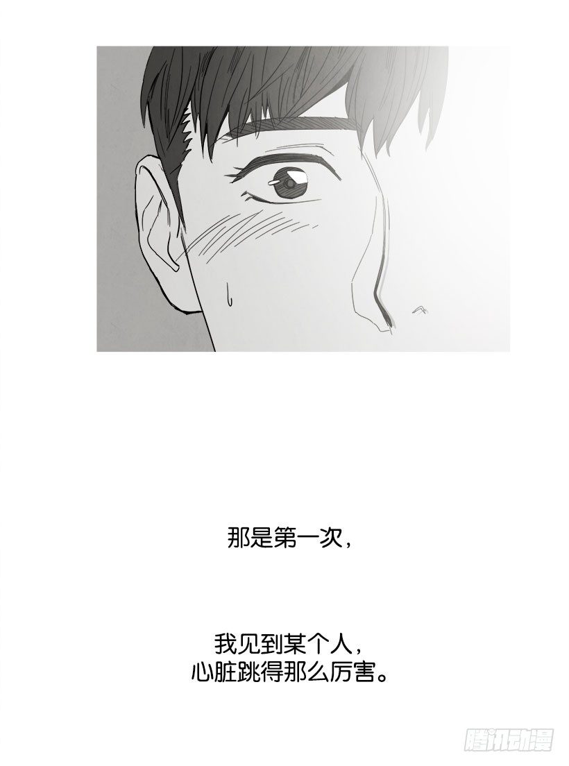 《宠物狗的规则》一见钟情 第13页