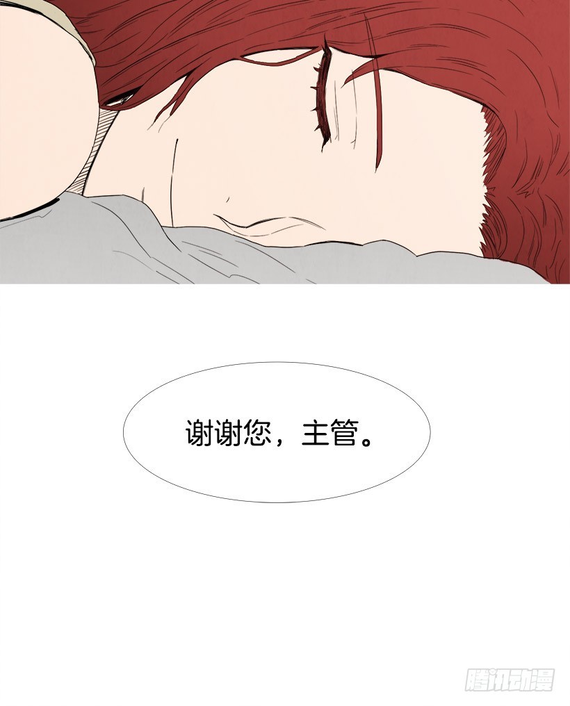 《宠物狗的规则》痛快 第13页