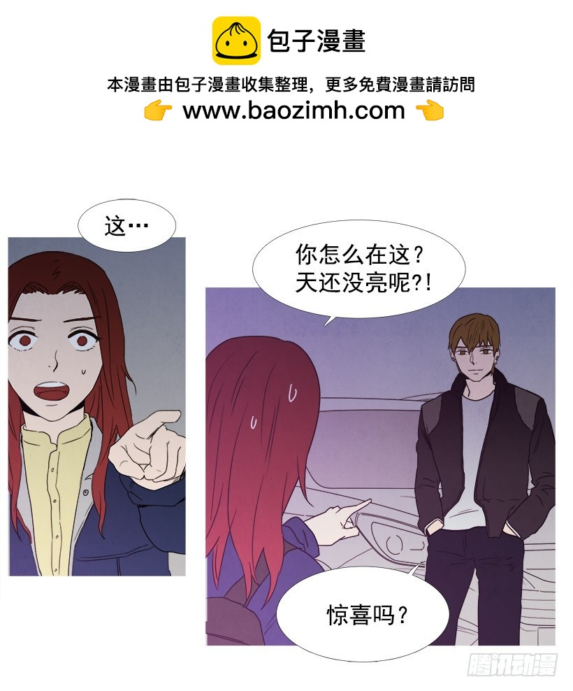 《宠物狗的规则》惊喜 第2页