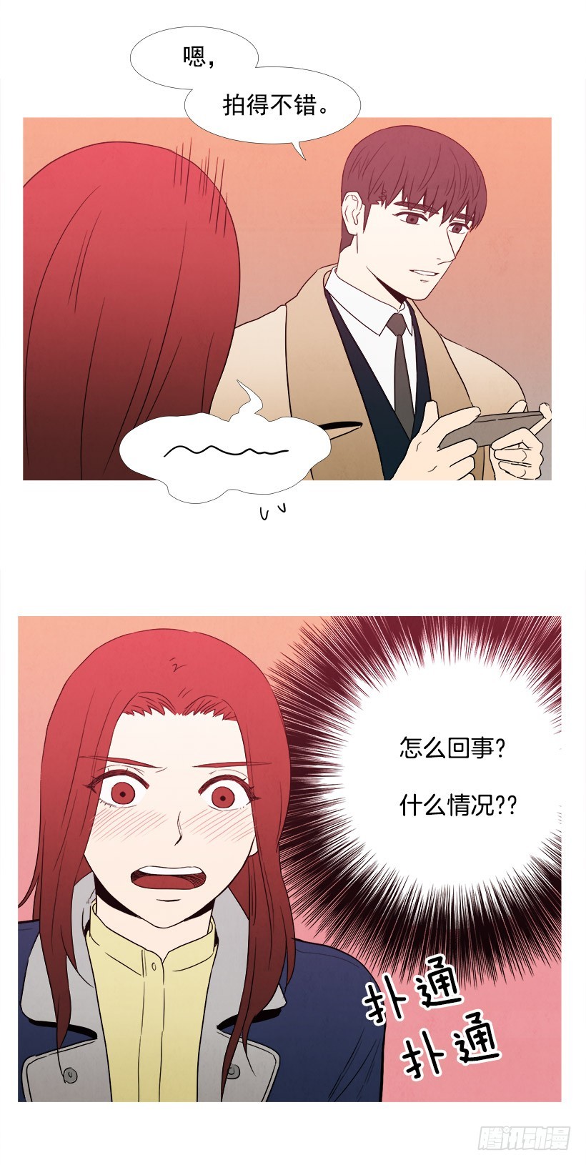 《宠物狗的规则》拍照片 第24页