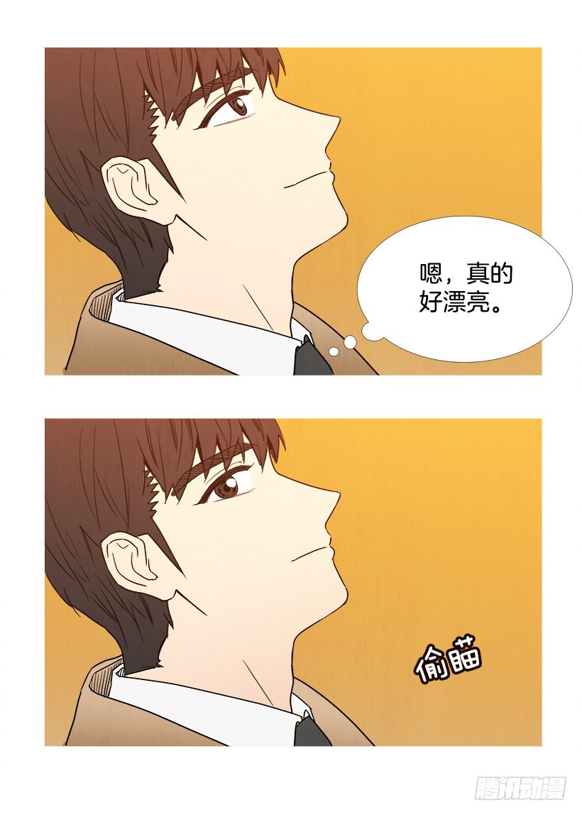 《宠物狗的规则》拍照片 第6页