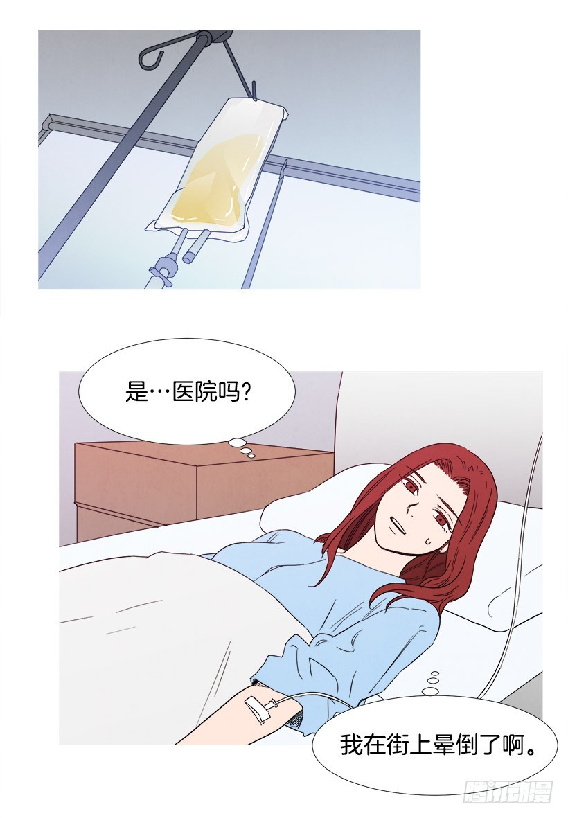 《宠物狗的规则》守护 第4页