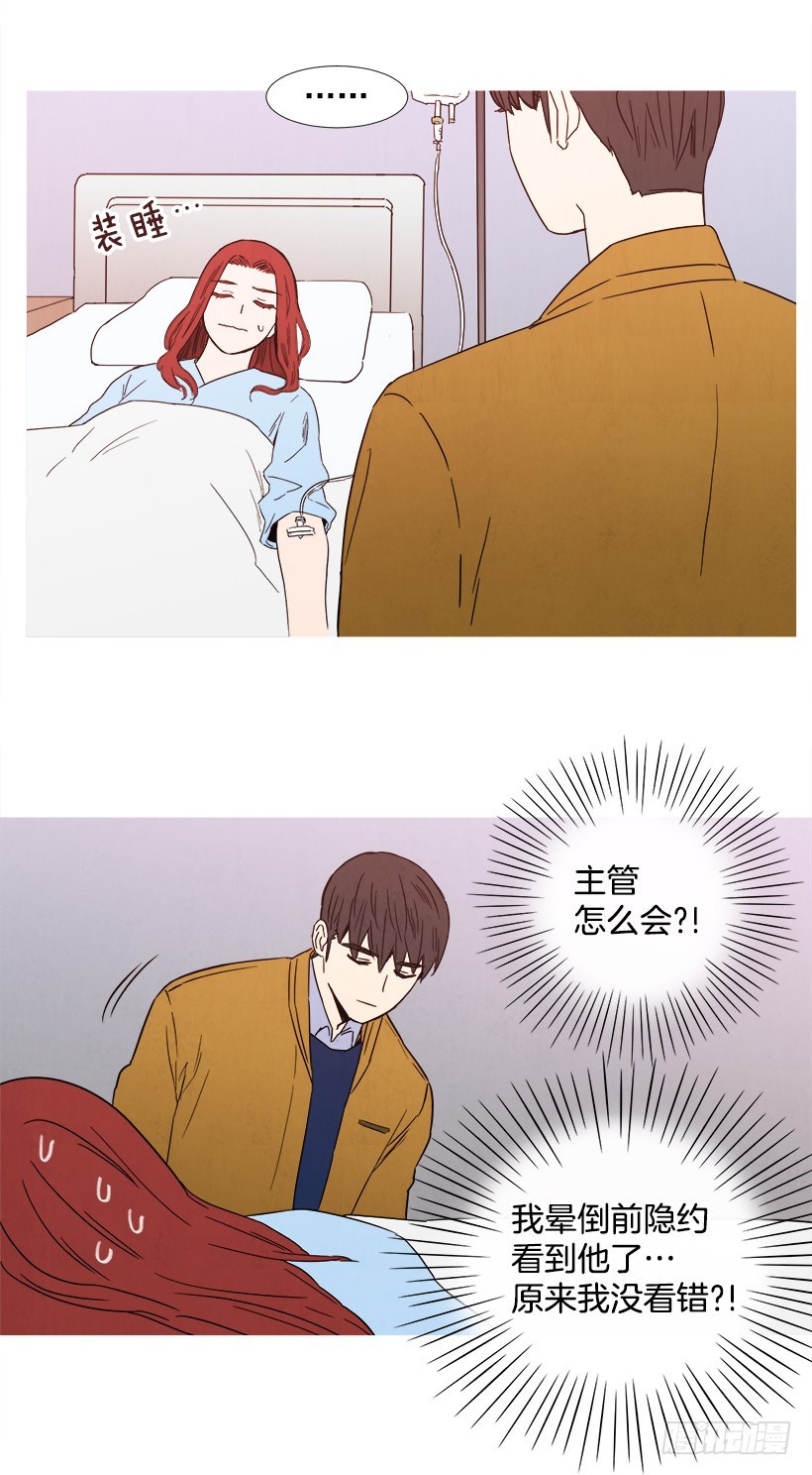 《宠物狗的规则》守护 第7页