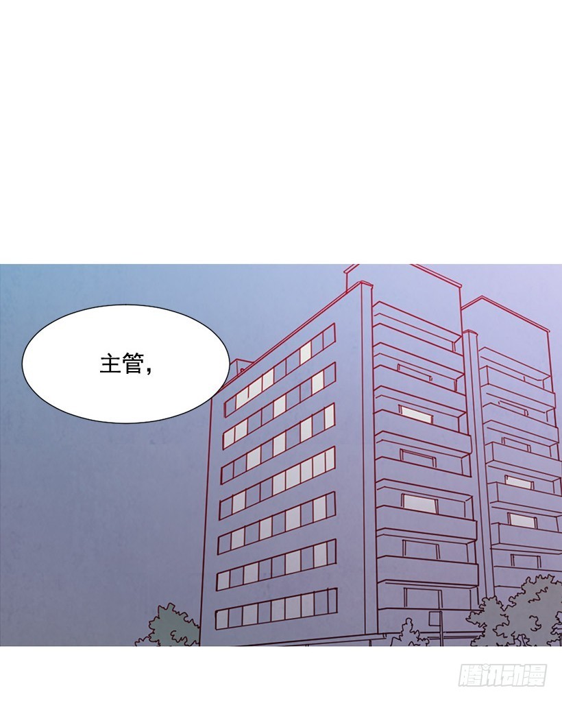 《宠物狗的规则》找文件 第11页