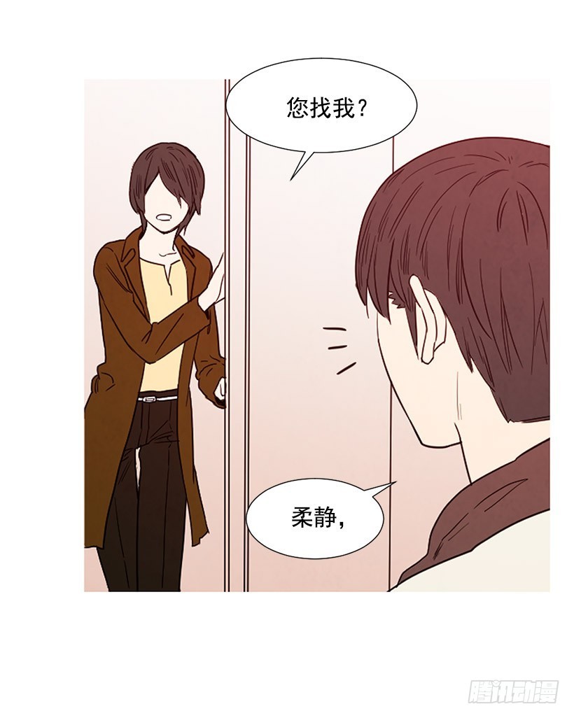 《宠物狗的规则》找文件 第12页