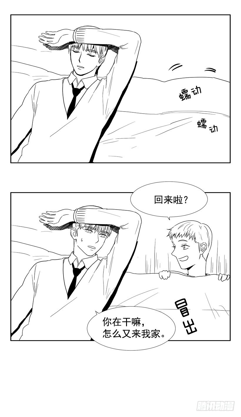 《宠物狗的规则》找文件 第34页