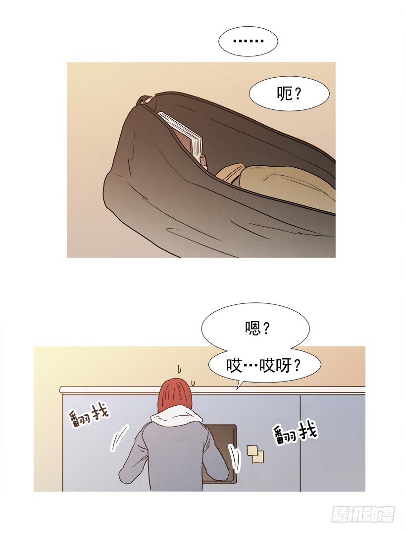 《宠物狗的规则》文件丢失 第19页