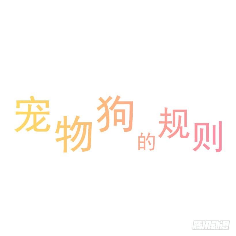 《宠物狗的规则》情敌 第1页