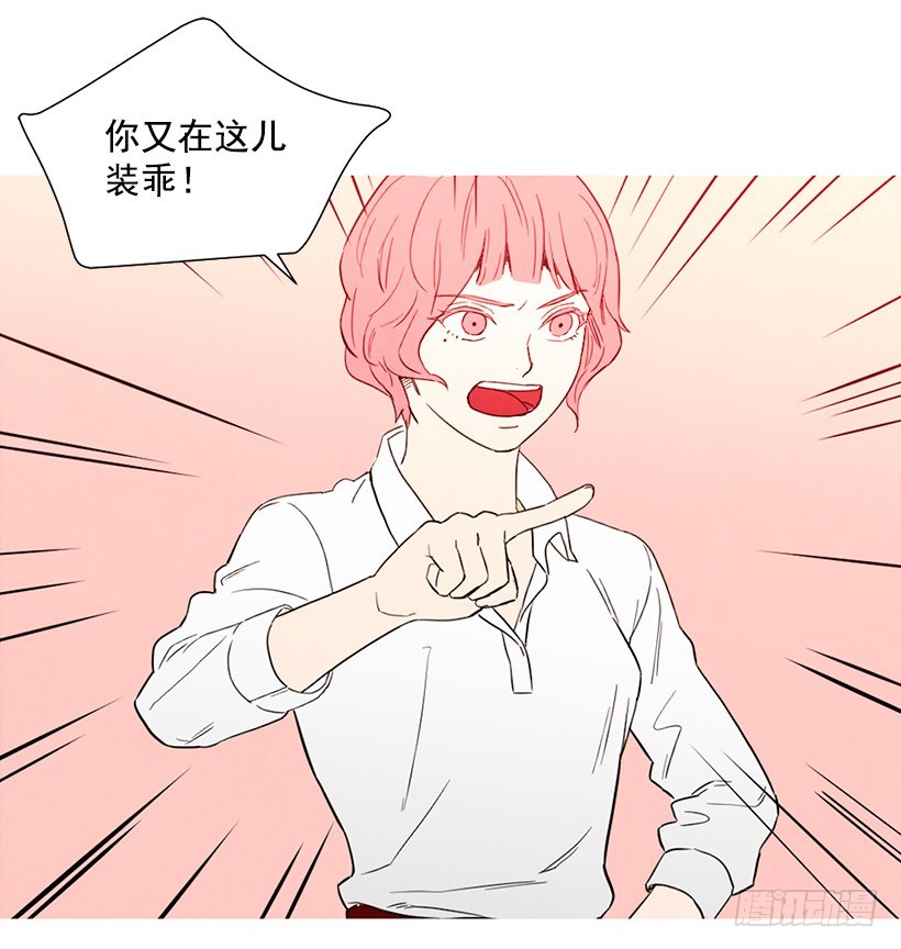 《宠物狗的规则》情敌 第41页