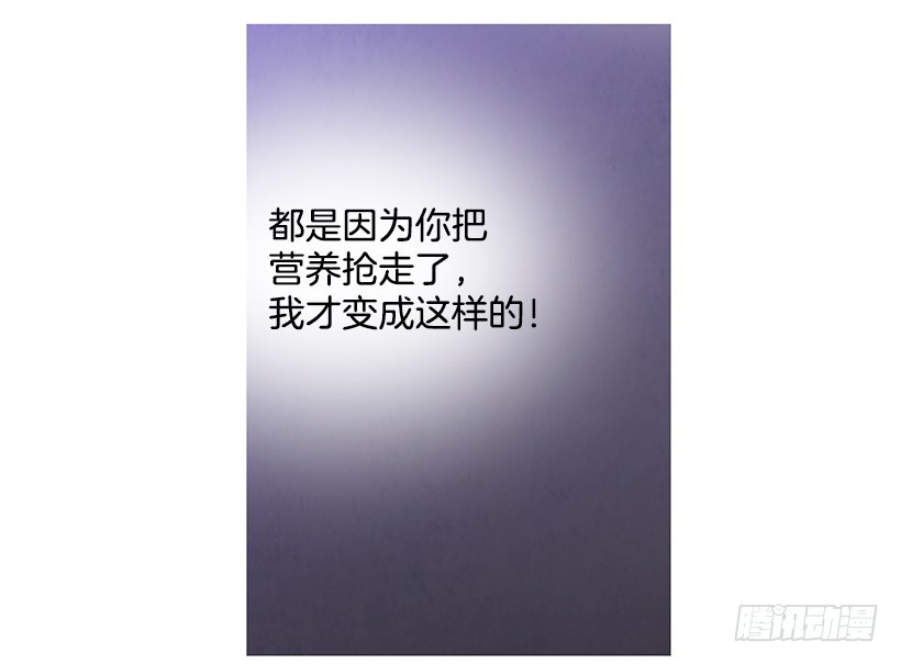 《宠物狗的规则》因为你 第16页