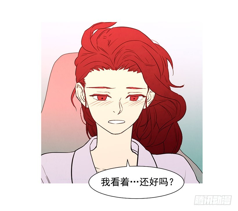 《宠物狗的规则》开车 第26页