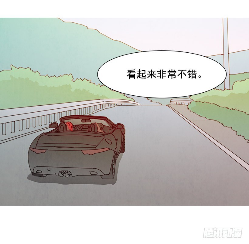《宠物狗的规则》开车 第28页
