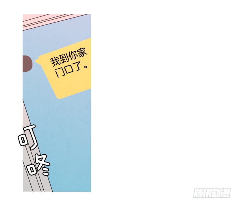 《宠物狗的规则》高攀 第18页