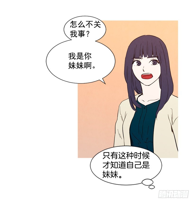 《宠物狗的规则》高攀 第26页