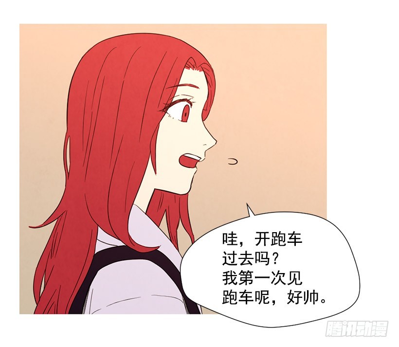 《宠物狗的规则》高攀 第31页