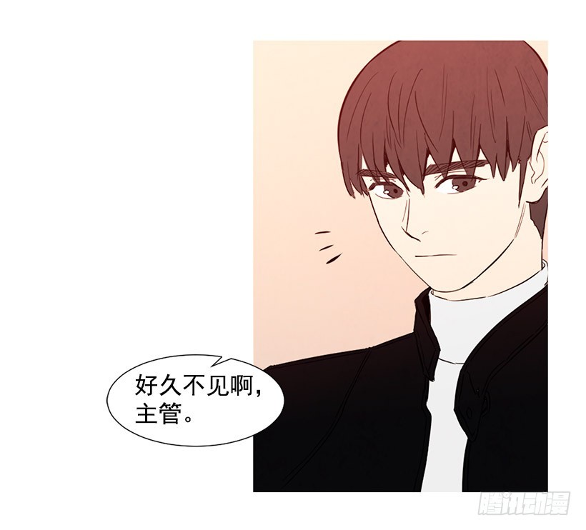 《宠物狗的规则》高攀 第35页