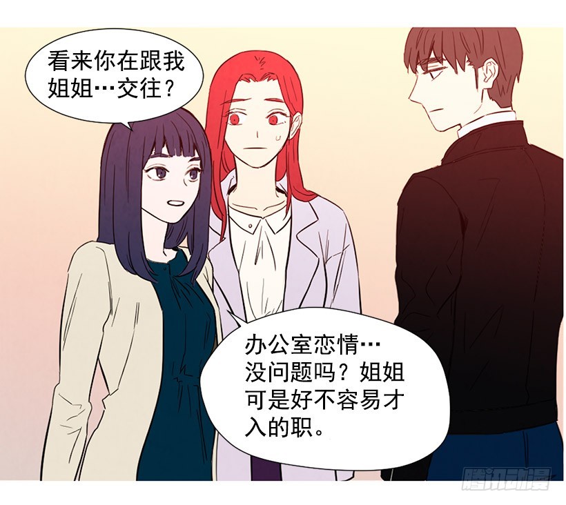 《宠物狗的规则》高攀 第36页