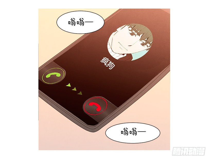 《宠物狗的规则》高攀 第4页