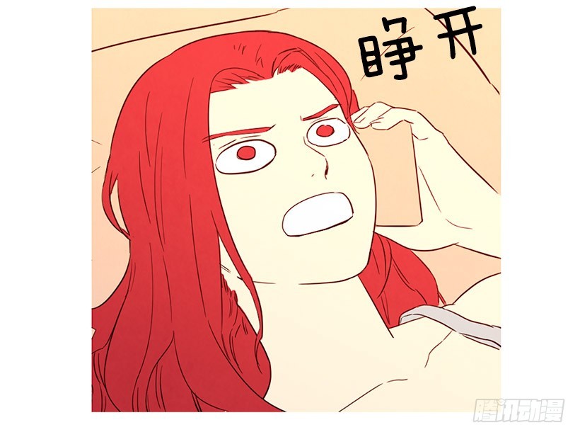 《宠物狗的规则》高攀 第9页