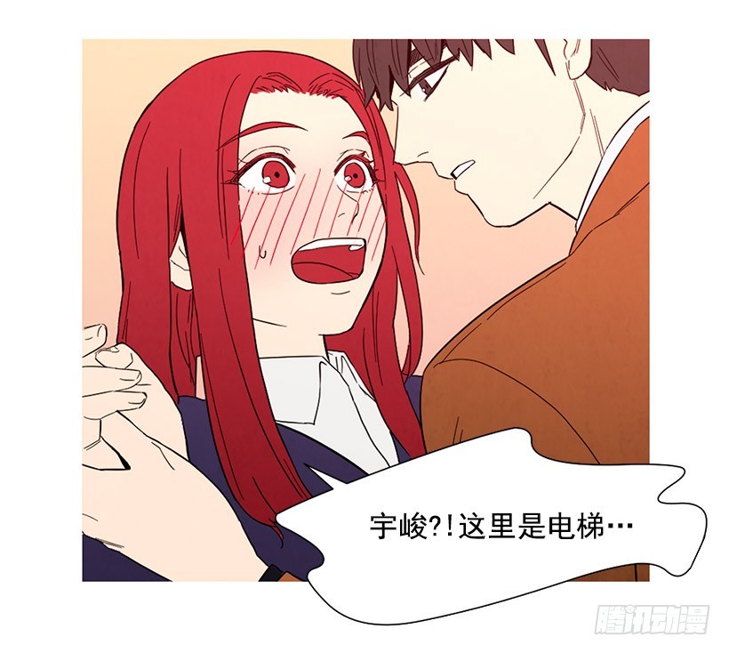 《宠物狗的规则》能力 第15页