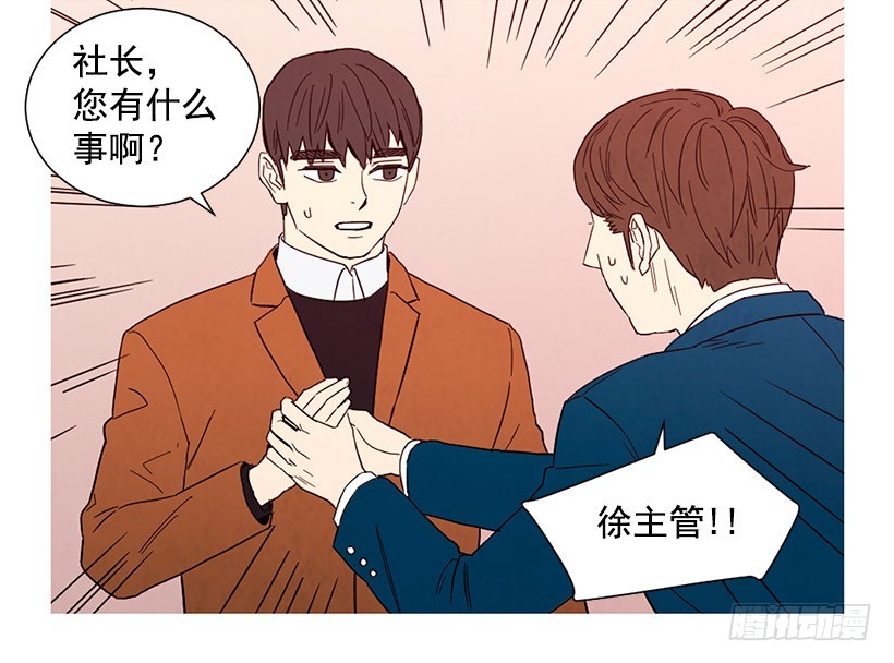 《宠物狗的规则》能力 第27页