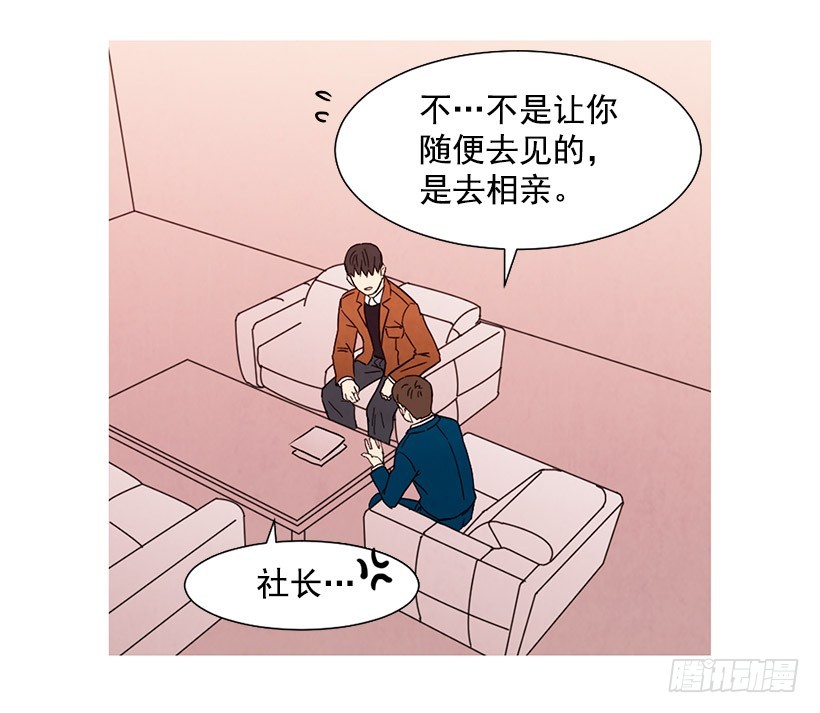 《宠物狗的规则》能力 第34页