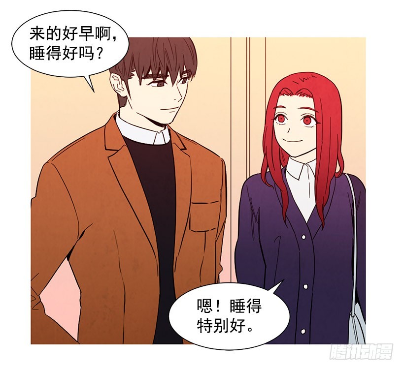 《宠物狗的规则》能力 第5页