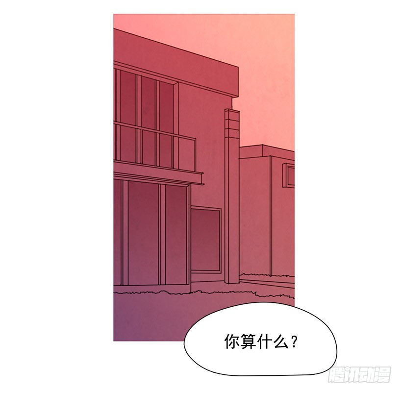 《宠物狗的规则》同情 第13页
