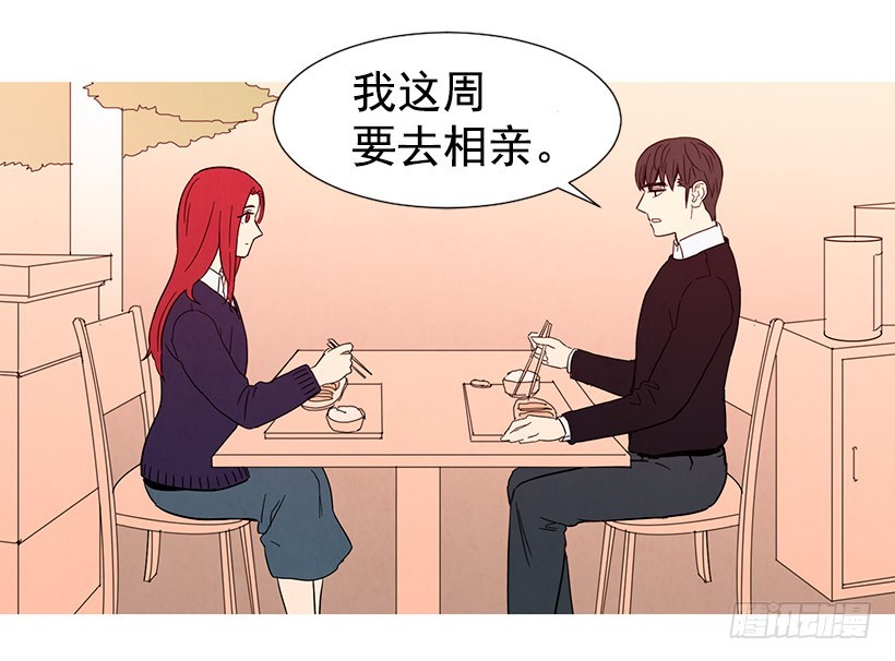 《宠物狗的规则》相亲 第15页