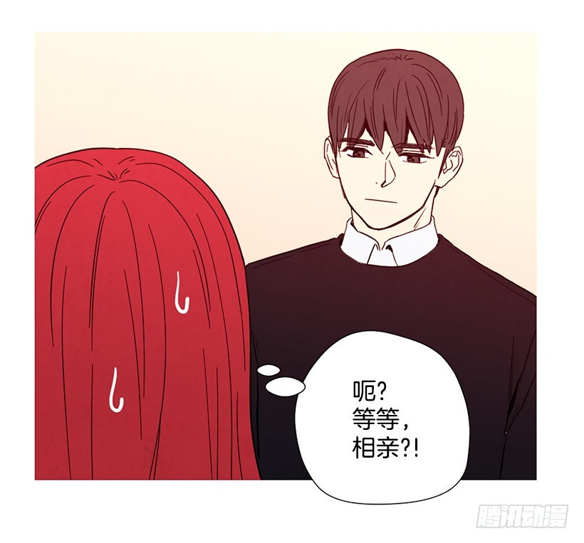《宠物狗的规则》相亲 第18页