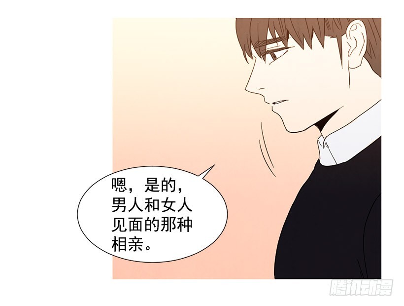 《宠物狗的规则》相亲 第24页