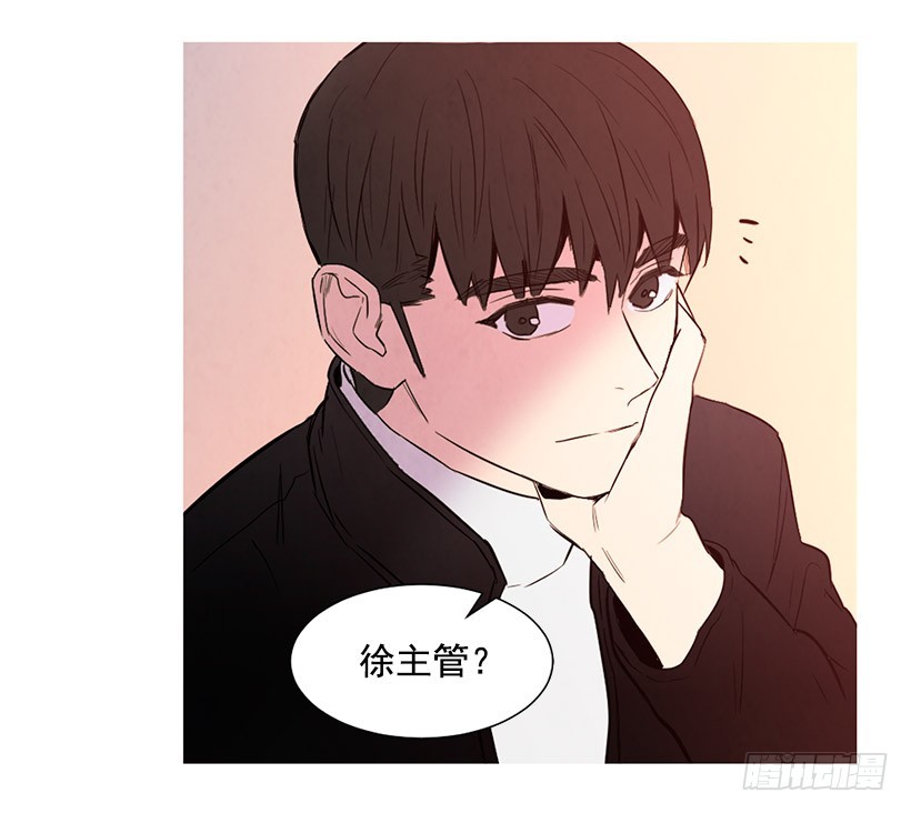 《宠物狗的规则》降温 第31页