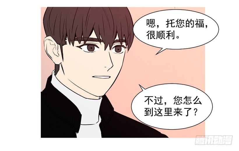 《宠物狗的规则》降温 第34页