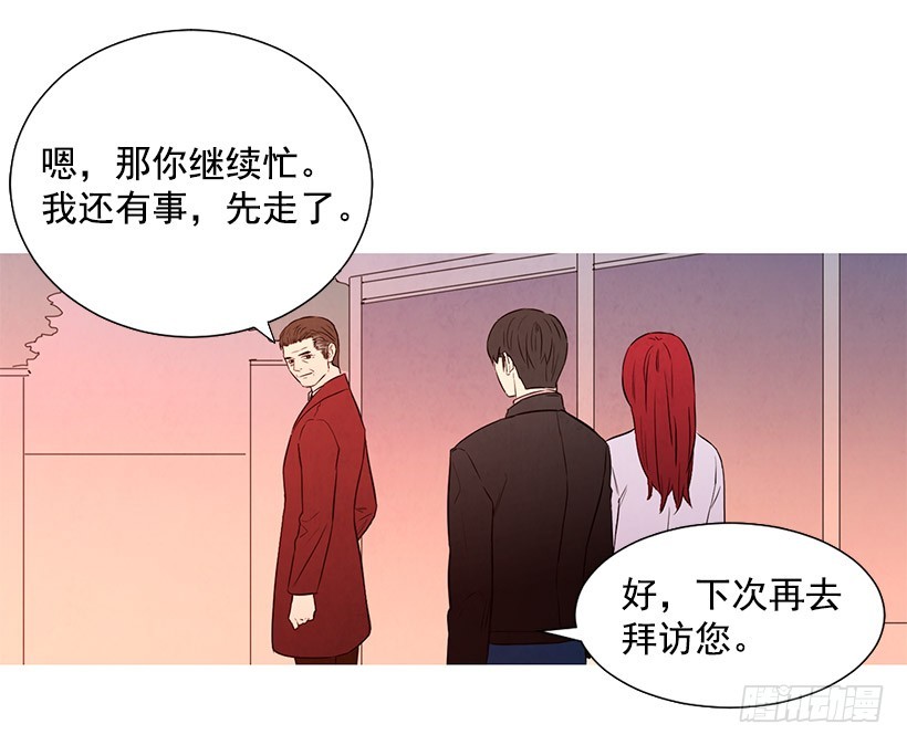 《宠物狗的规则》降温 第41页