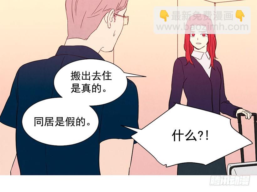 《宠物狗的规则》存钱去法国 第13页