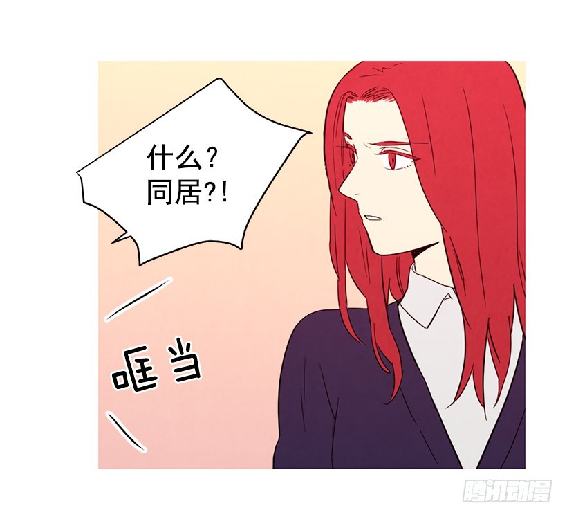 《宠物狗的规则》存钱去法国 第8页