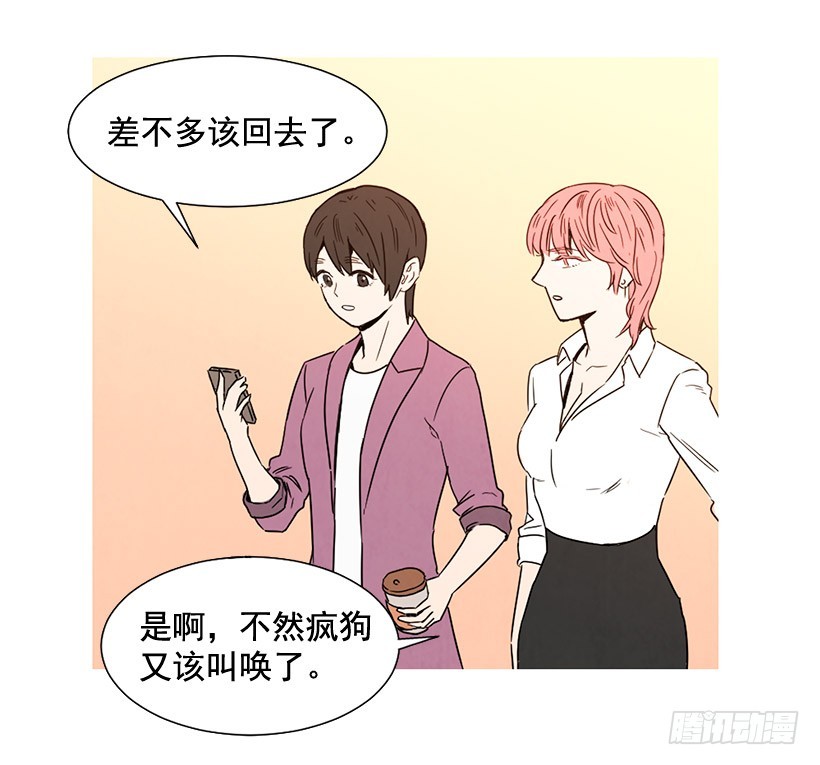 《宠物狗的规则》过渡保护 第48页