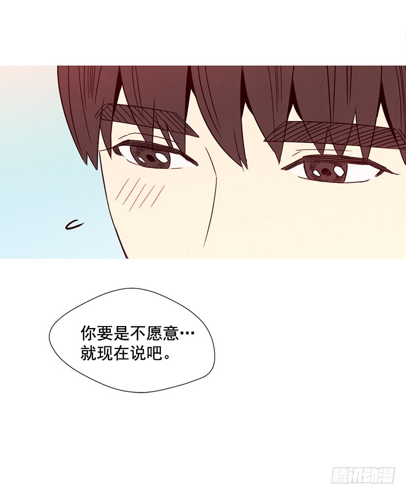 《宠物狗的规则》深情一吻 第13页