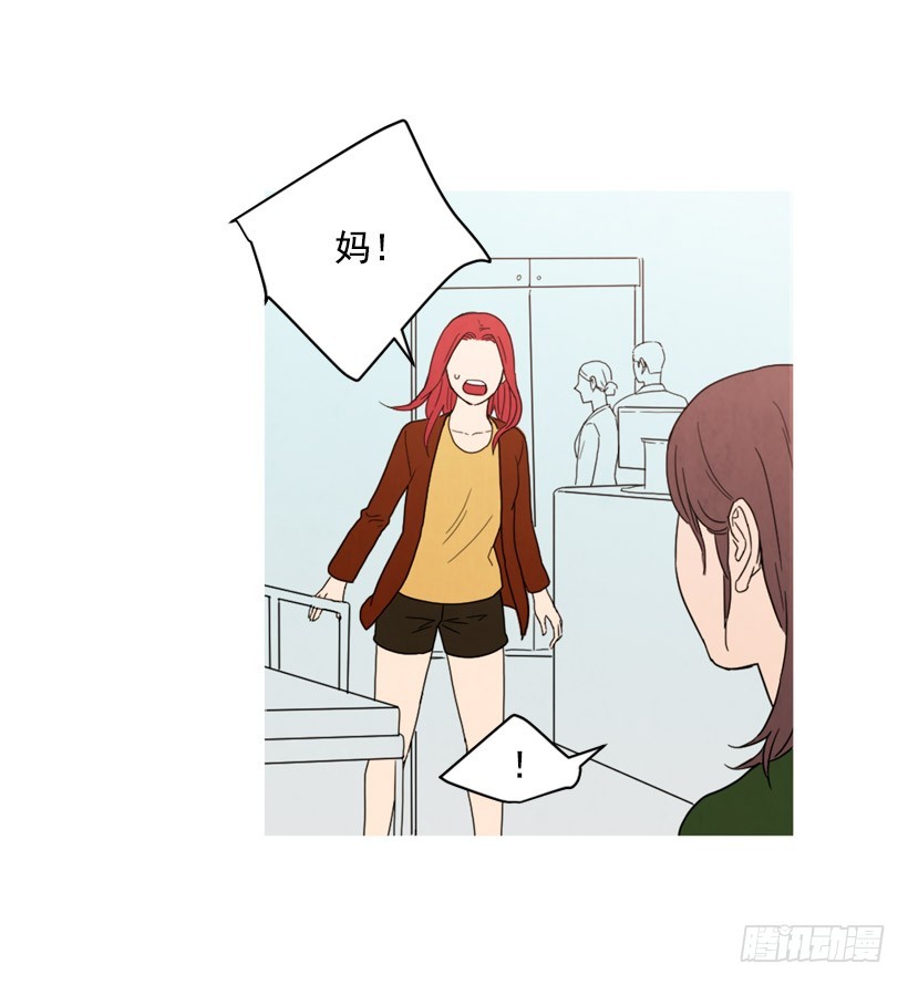 《宠物狗的规则》装病瞒骗 第17页