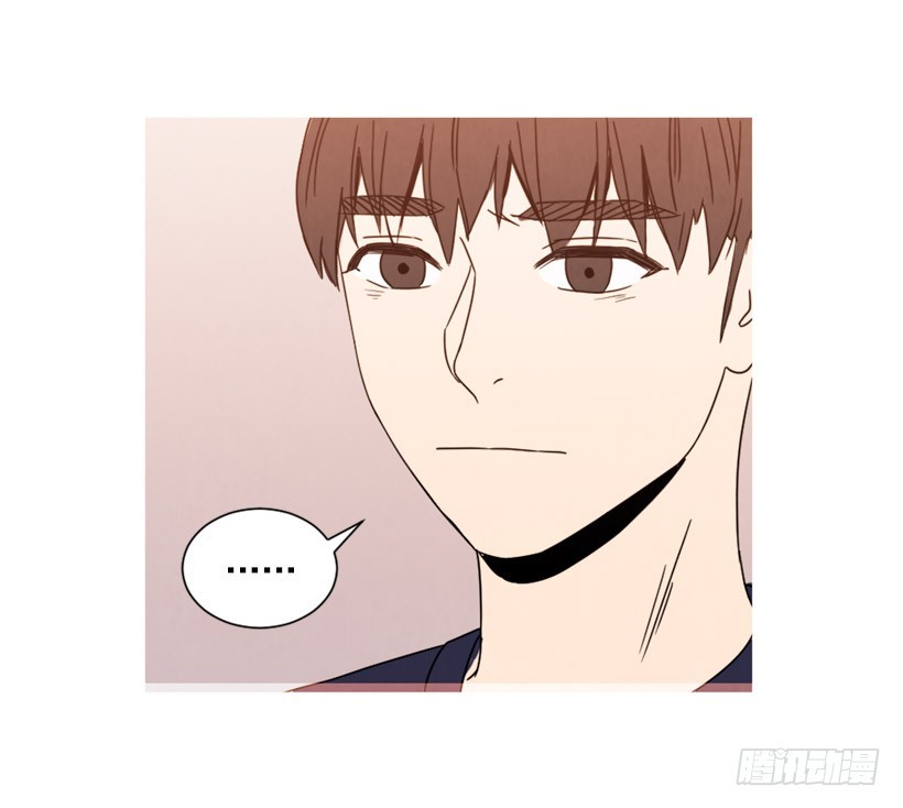 《宠物狗的规则》不结婚的原因 第18页