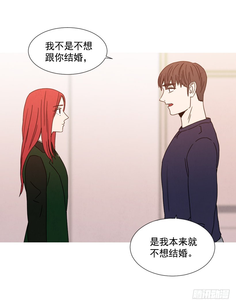 《宠物狗的规则》不结婚的原因 第8页