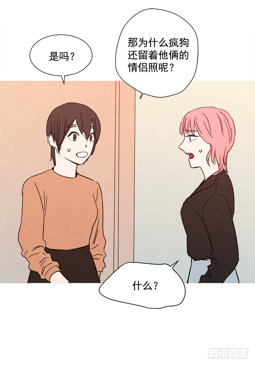 《宠物狗的规则》痛苦分手 第43页